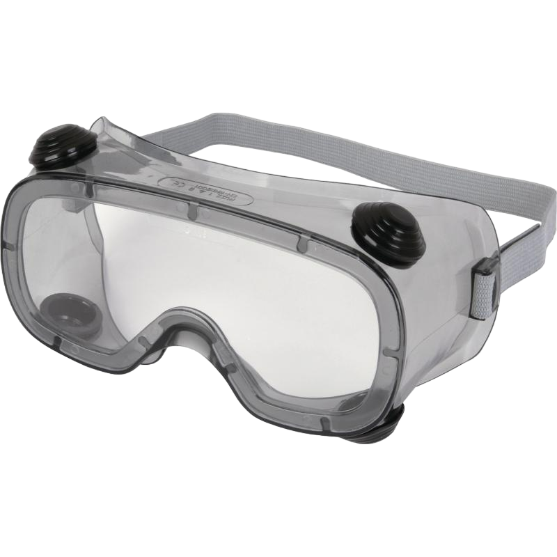 Delta Plus Ruız 1 Şeffaf Goggle Koruyucu Iş Gözlüğü